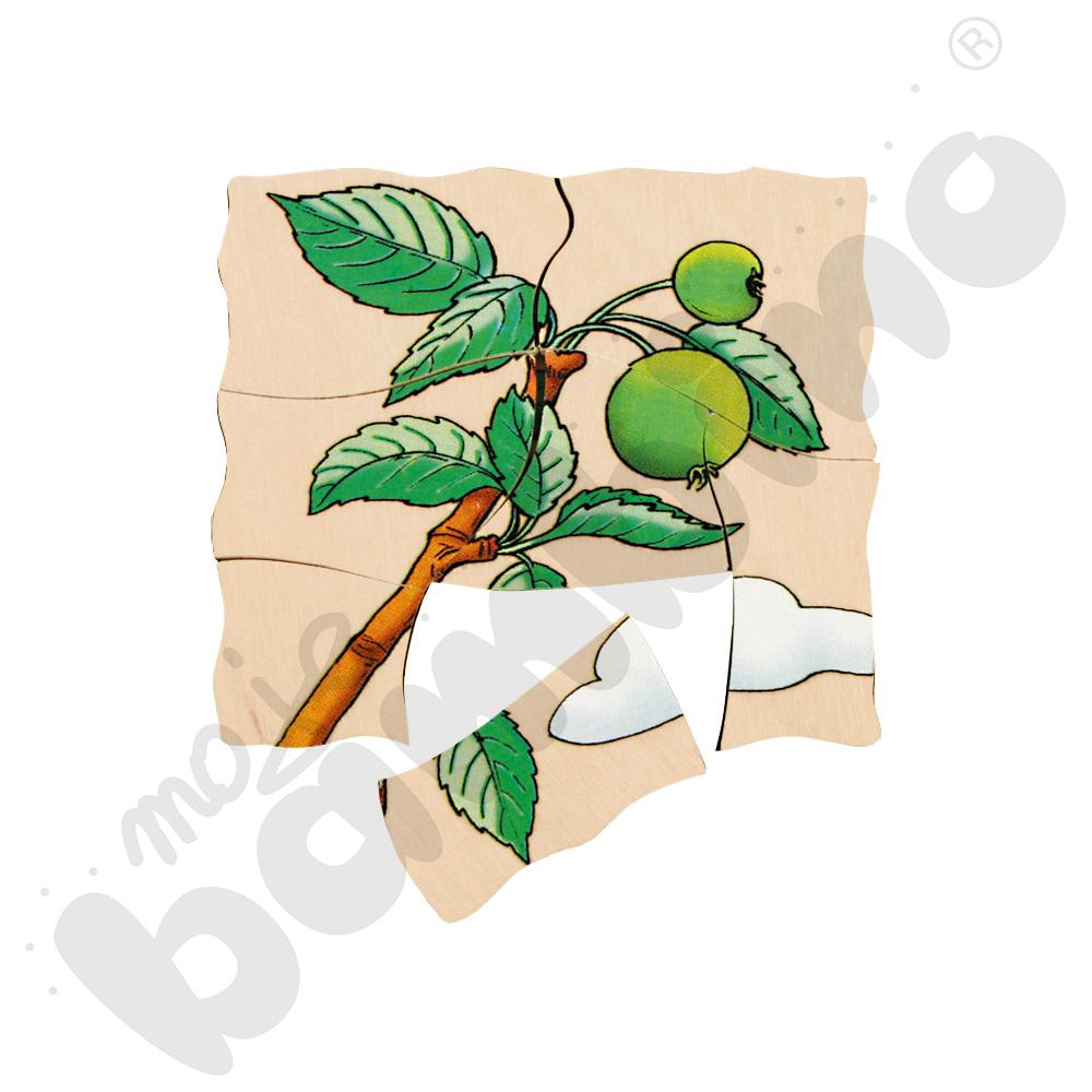 Edukacyjne puzzle warstwowe - jabłko