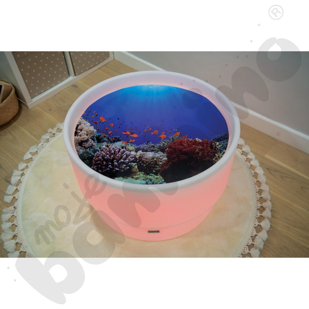 Plansza Odkrycia podwodnego świata