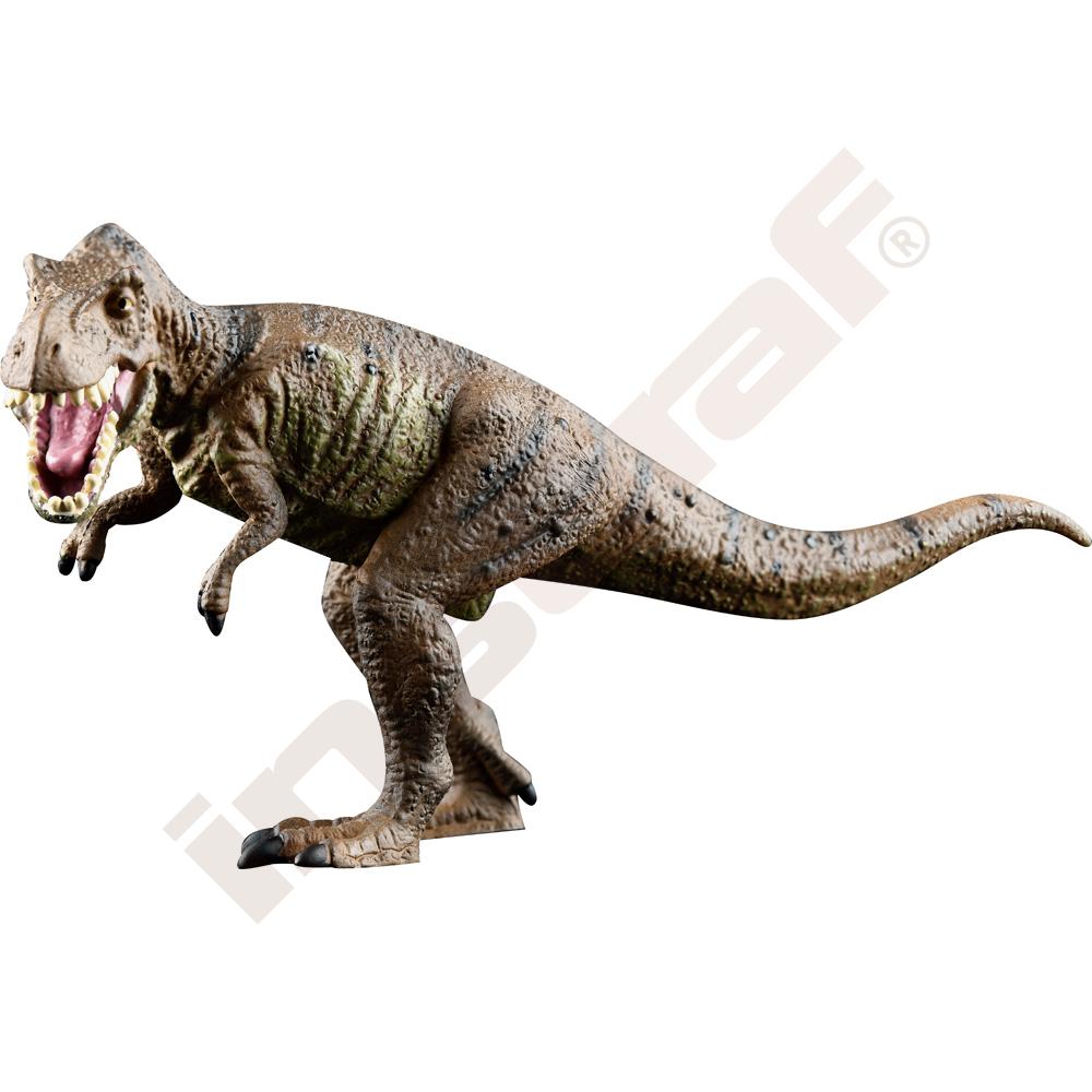 Dinosauři - sada