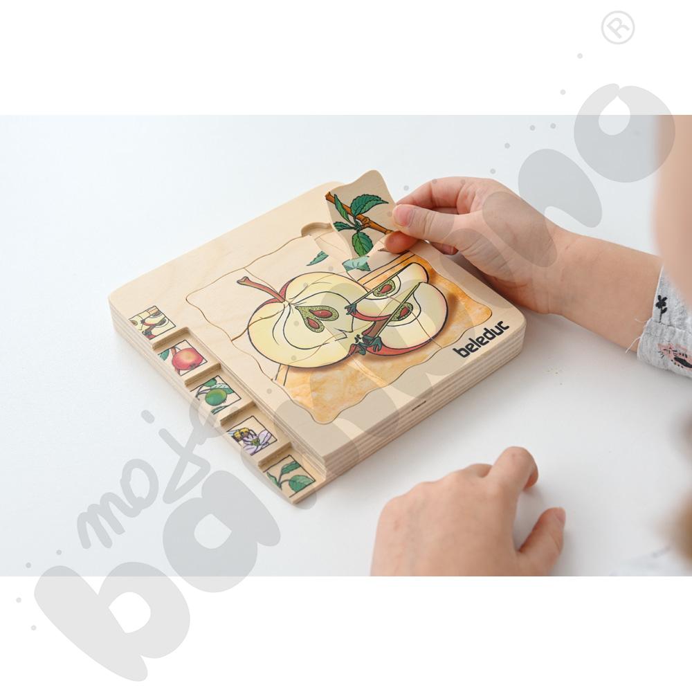 Edukacyjne puzzle warstwowe - jabłko