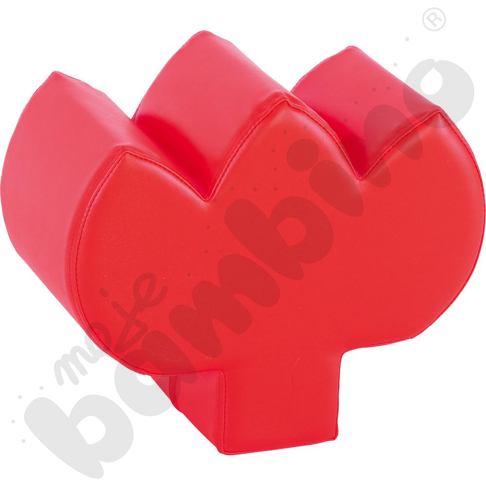 Piankowy kącik - tulipan