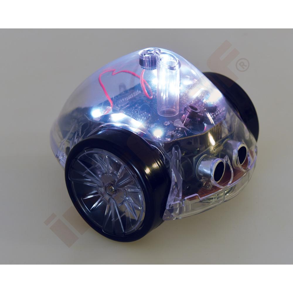 InO-Bot
