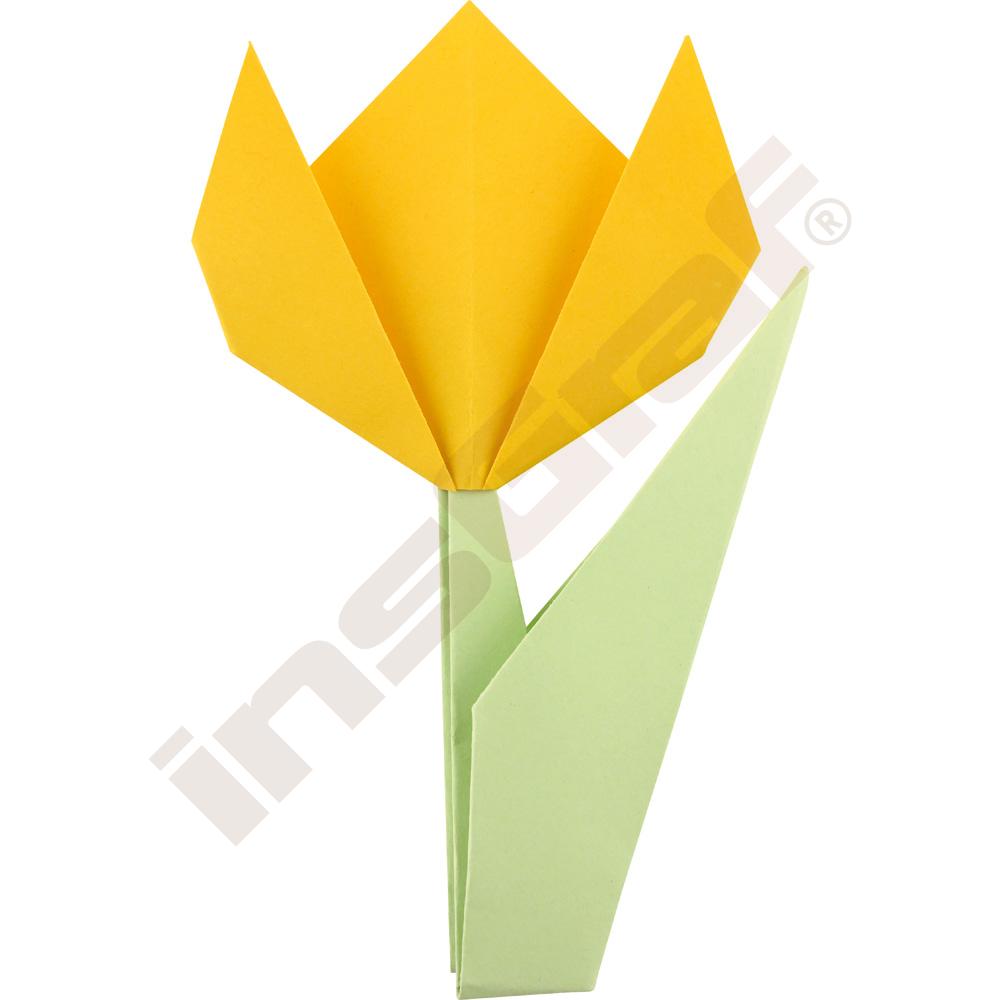 Origami - tulipán