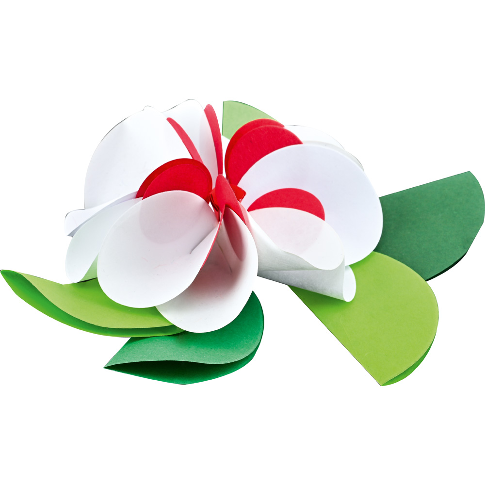 Kolieska na origami 20 mix