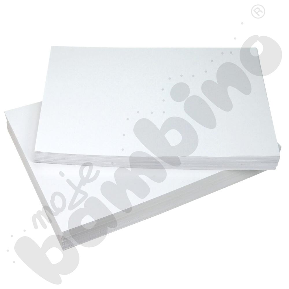 Papier rysunkowy A4/250 ark., 170 g