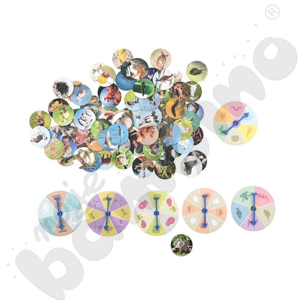 Odkrywamy świat zwierząt - gra