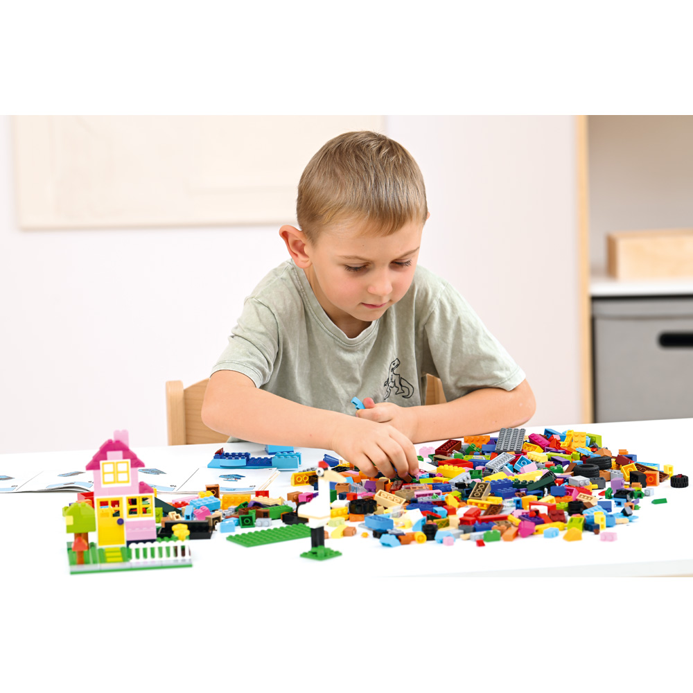 LEGO® Large Creative Brick Set