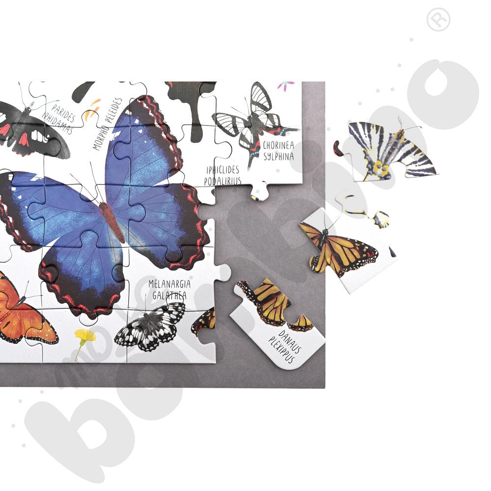 Puzzle - motyle, 200 elem.