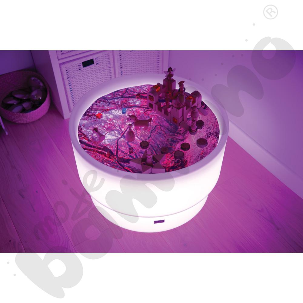 Plansza Odkrycia leśnego świata