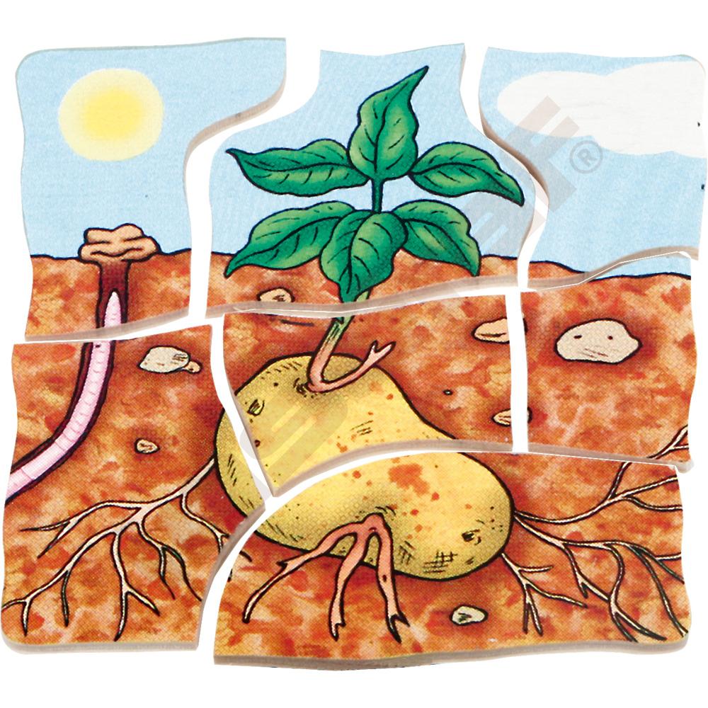 Edukační vícevrstvé puzzle - brambory