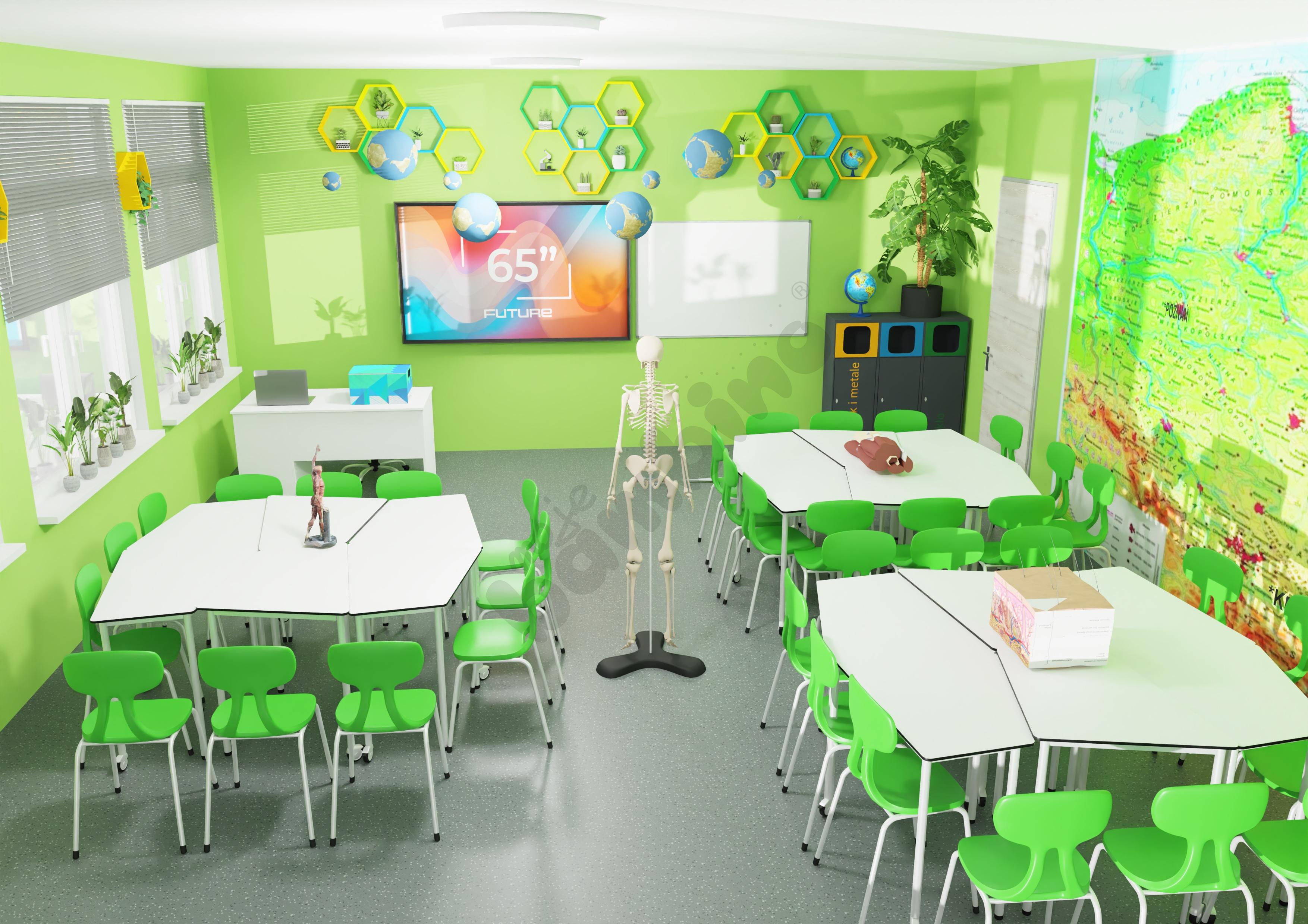 Zielona Pracownia 14