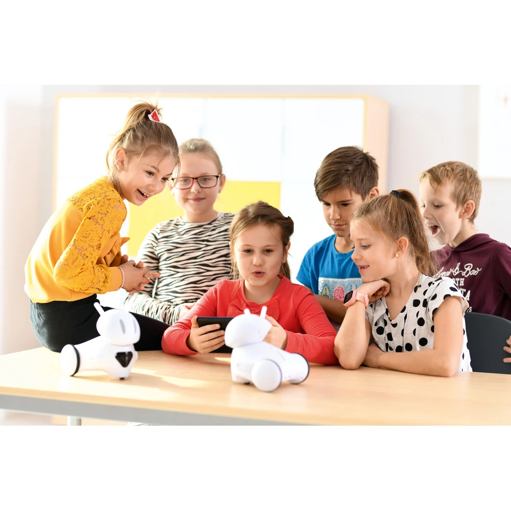 Edukačné roboty