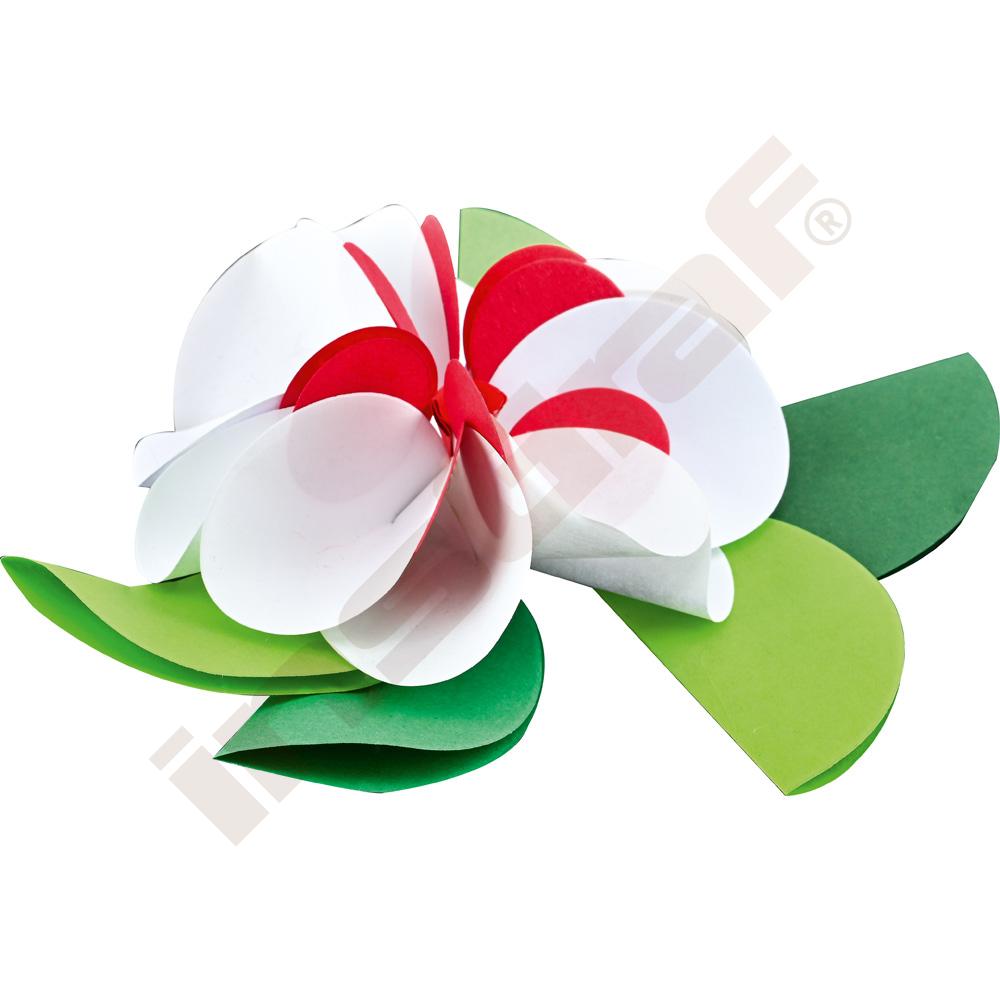 Kolečka na origami 20 mix