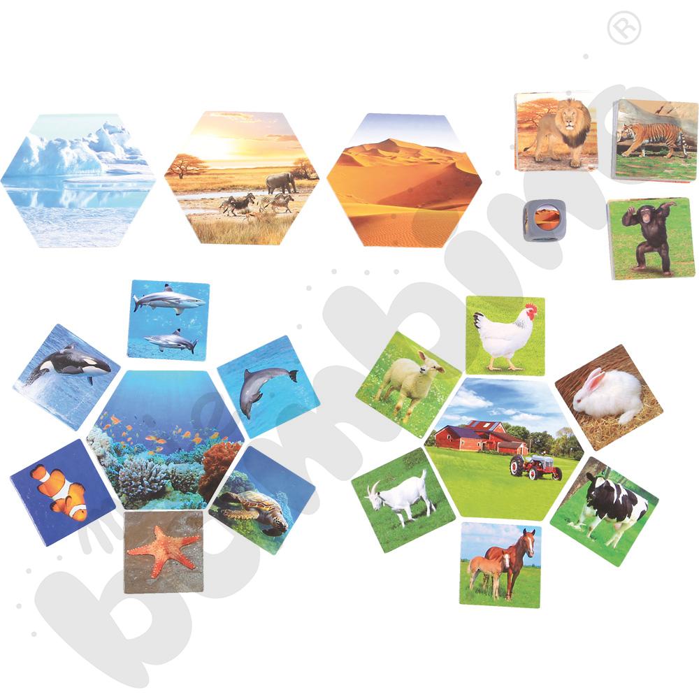 Gdzie żyją zwierzęta?