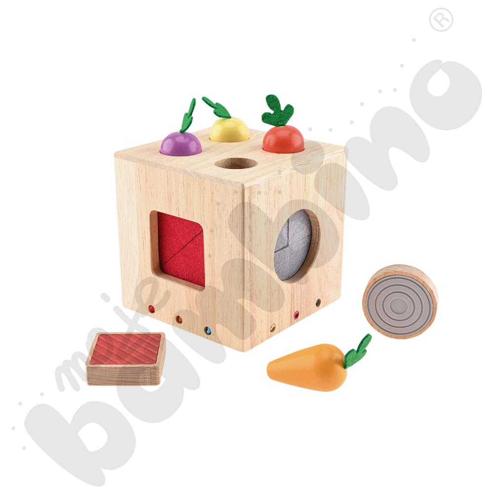 Sensoryczna kostka aktywności