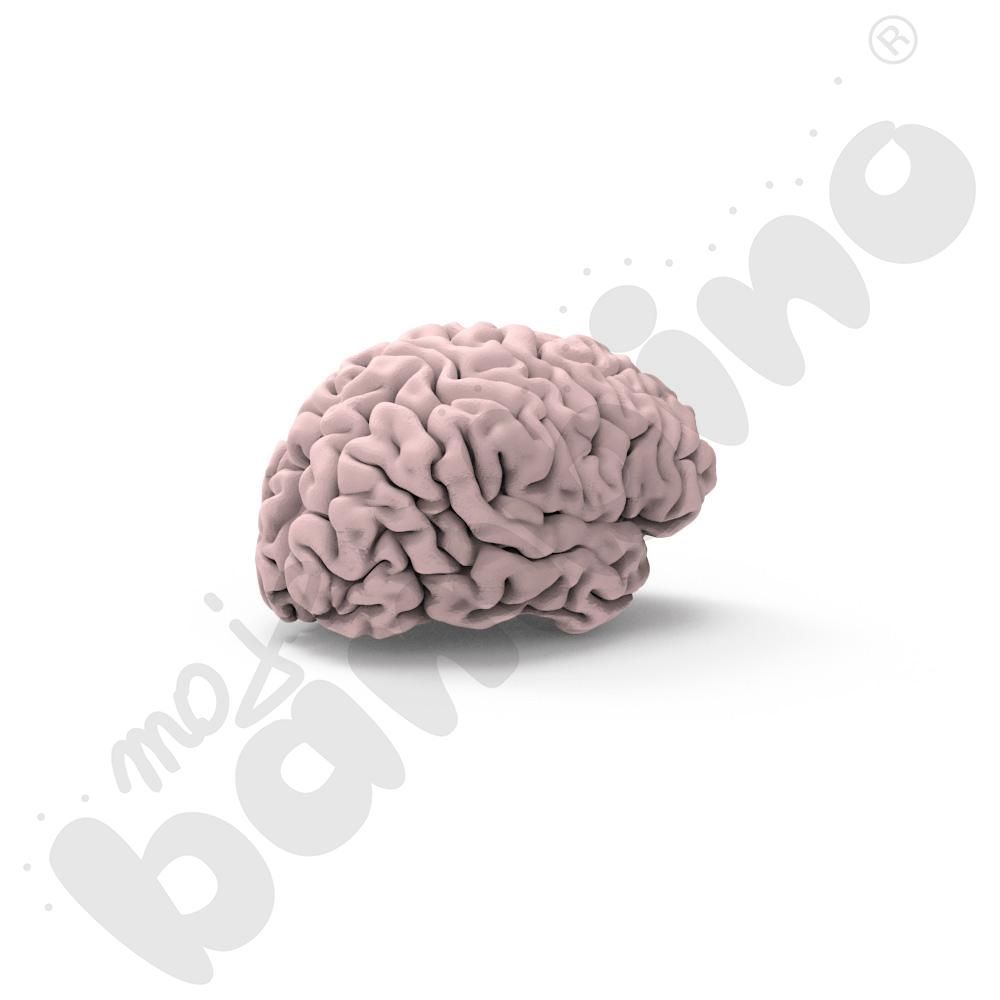 Drukarka 3D Pakiet - Pracownia Druku 3D SkriLab