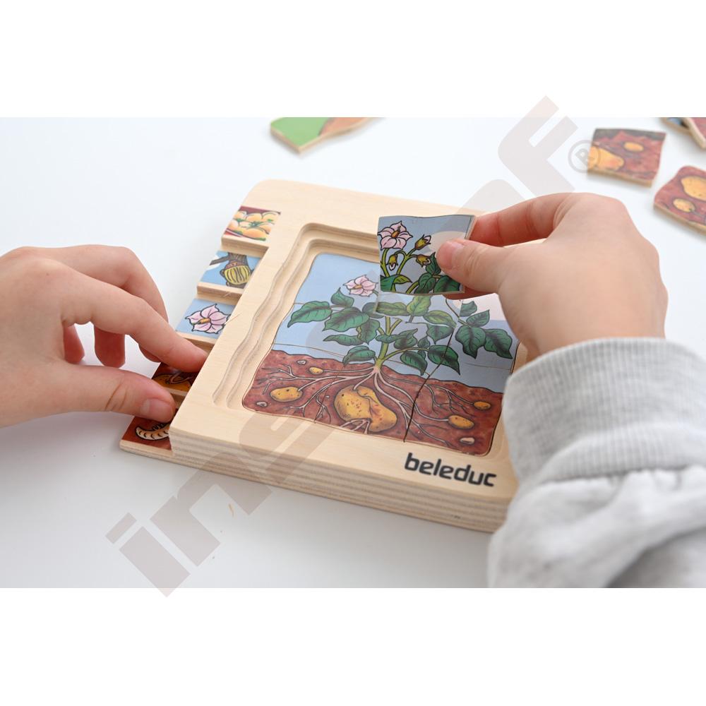 Edukační vícevrstvé puzzle - brambory