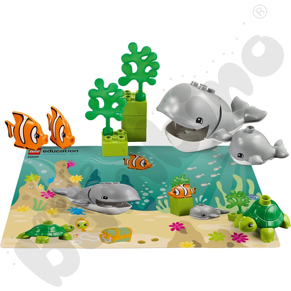 LEGO® DUPLO® Zwierzęta