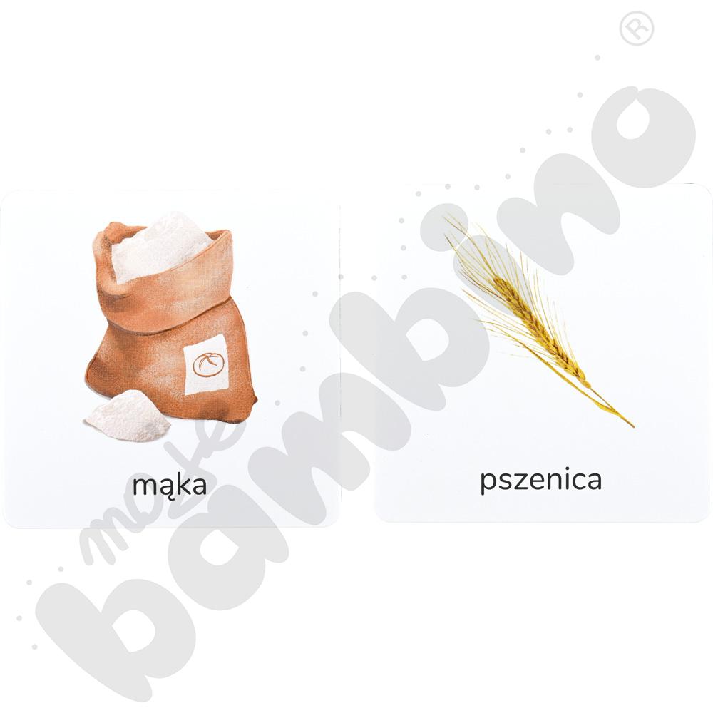 Przyroda tu i tam - karty sensoryczne z książeczką