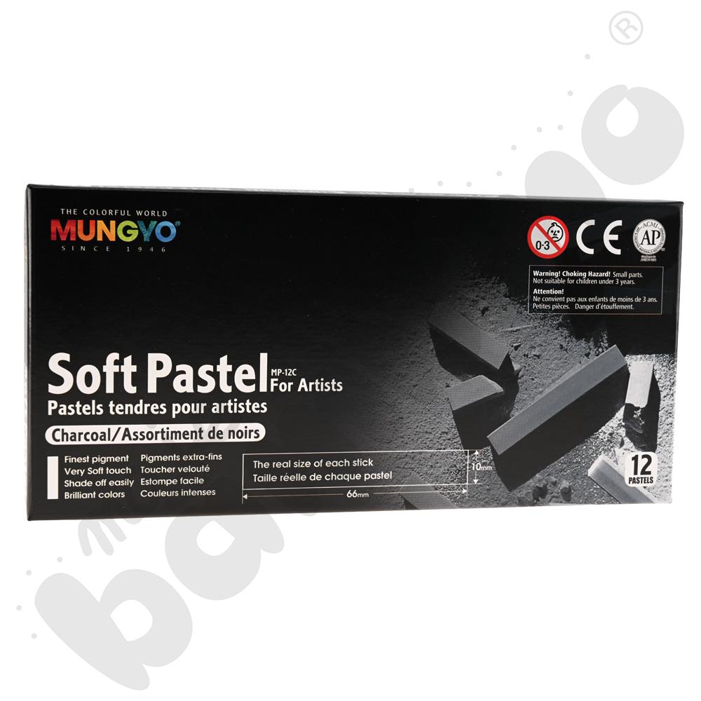 Pastele suche 12 szt. węgle