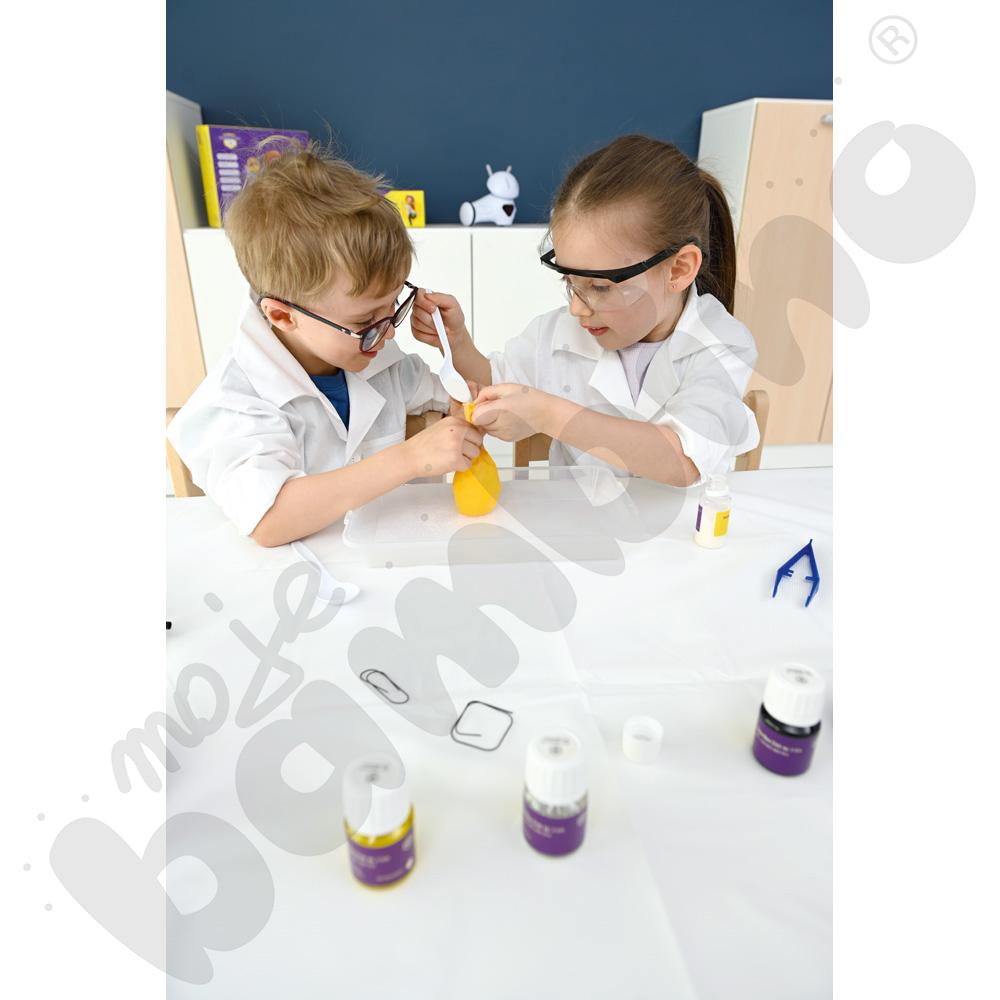 Premium BeeBox Zmiennokształtność - zestaw do eksperymentów