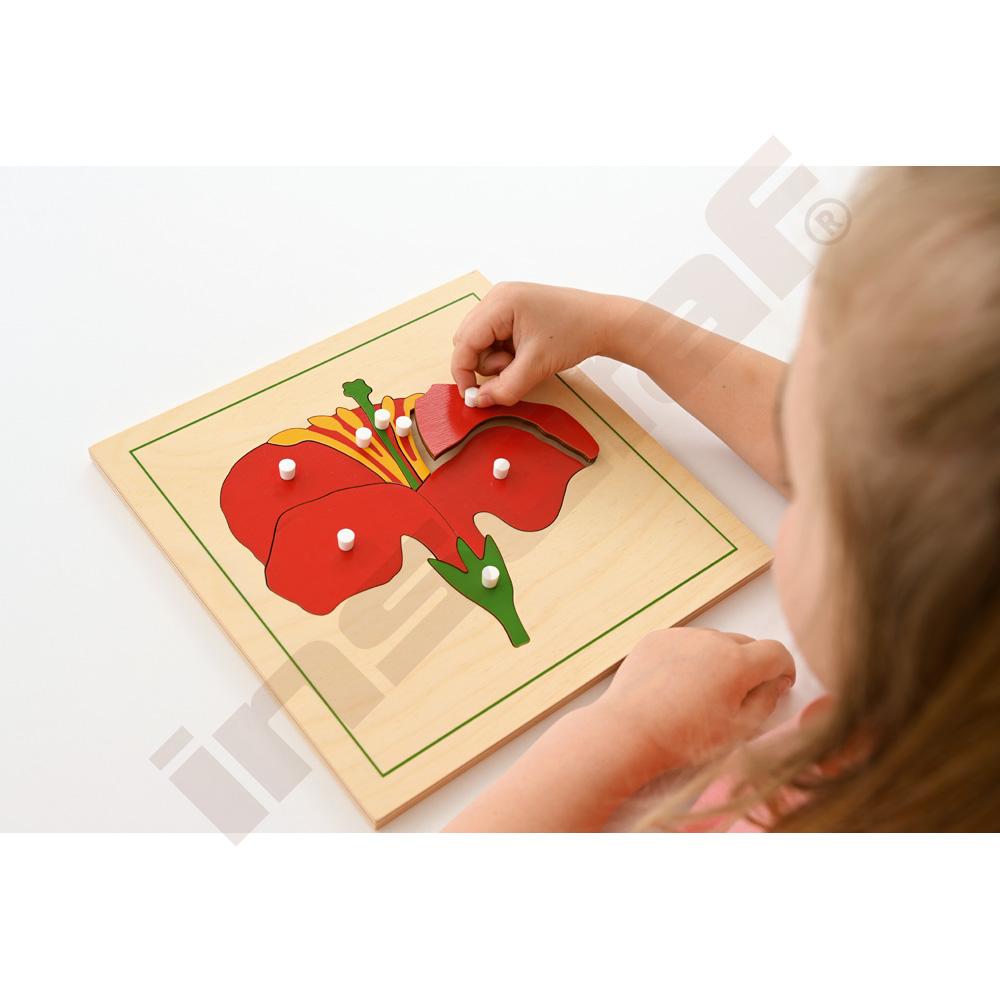 Botanické puzzle - květ