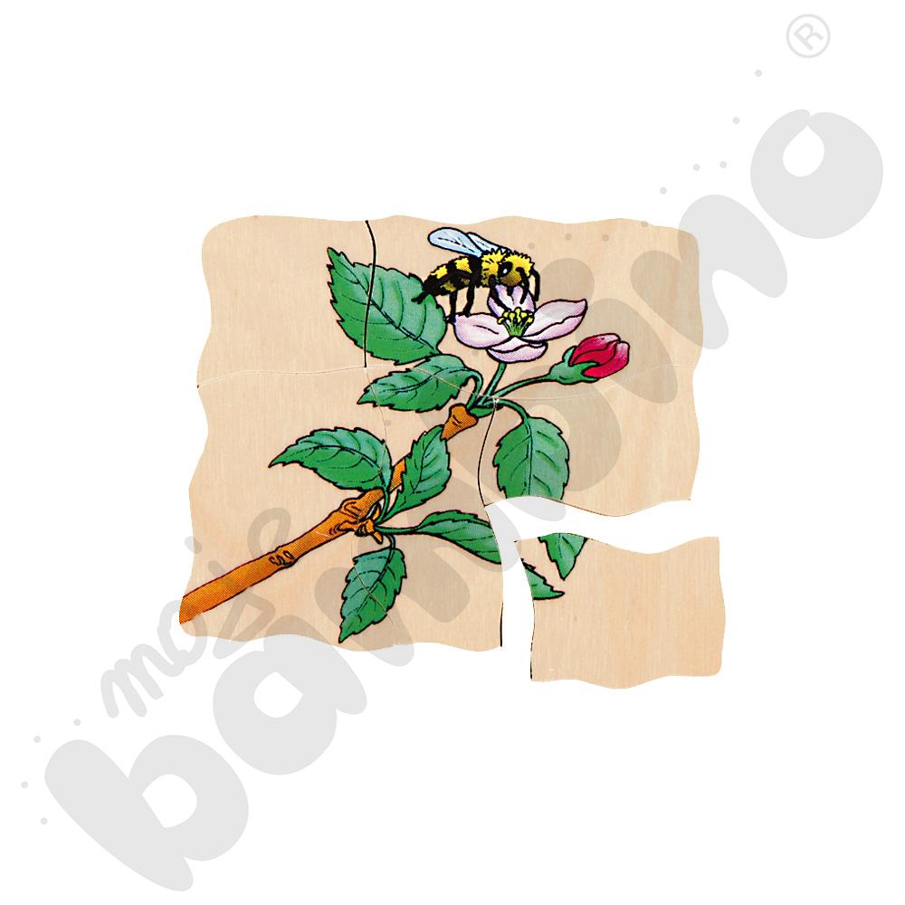 Edukacyjne puzzle warstwowe - jabłko