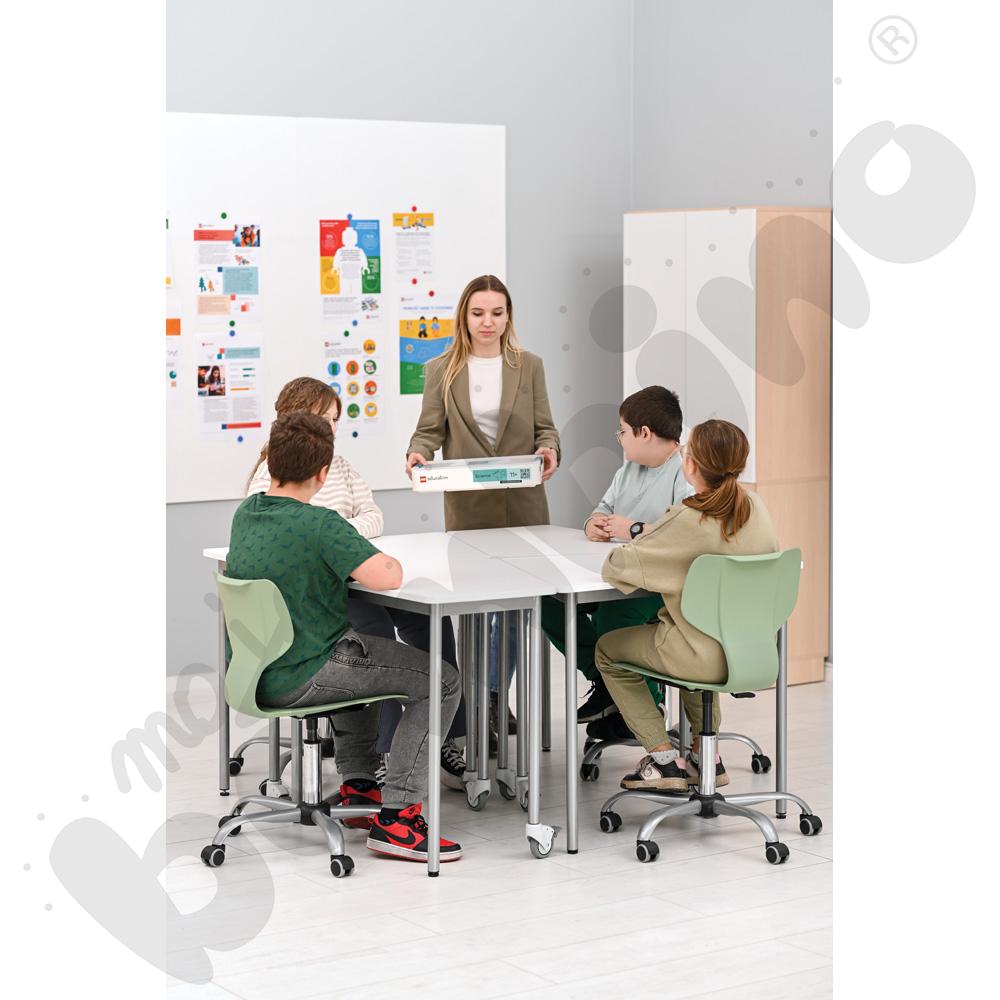 LEGO® Education Nauki przyrodnicze i ścisłe 11+