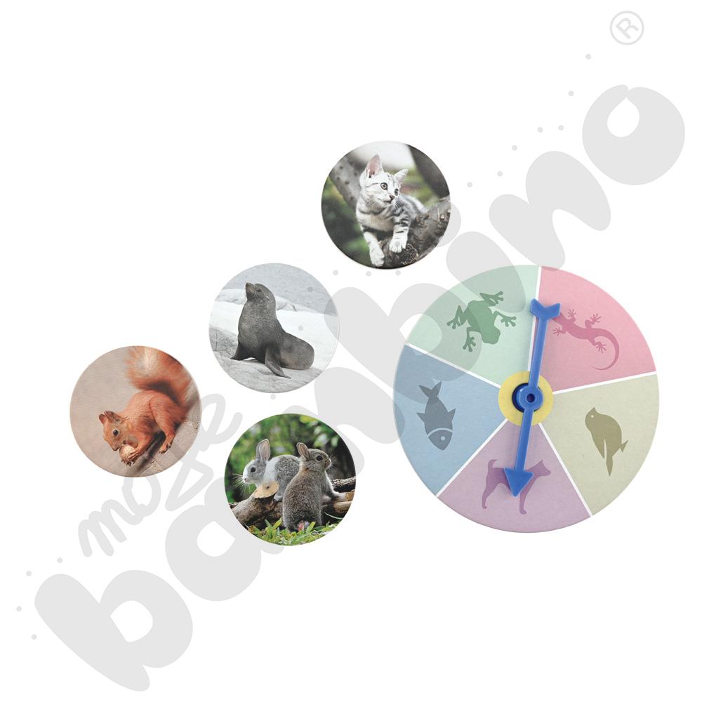 Odkrywamy świat zwierząt - gra