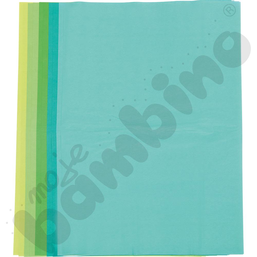 Bibuła 50 x 70 cm tonacja zielona