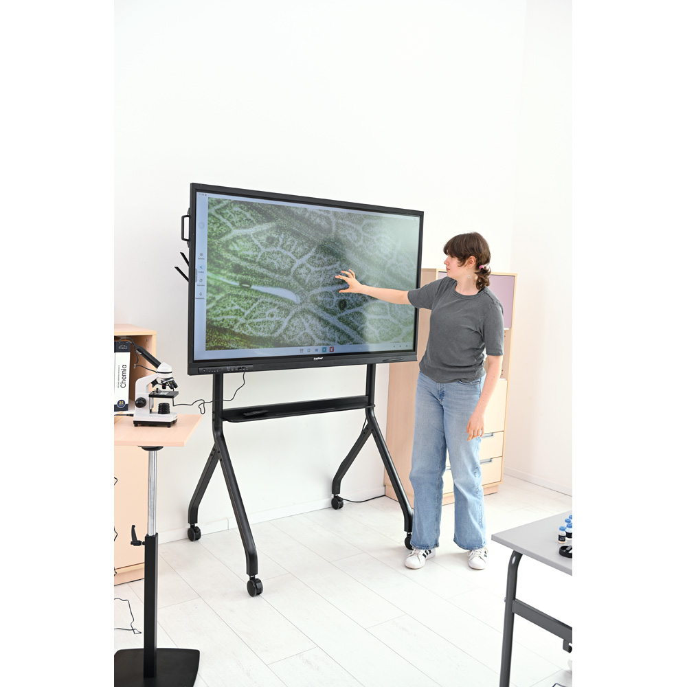 Interaktívny monitor insGraf Digital EduSpace 65 na mobilnom stojane