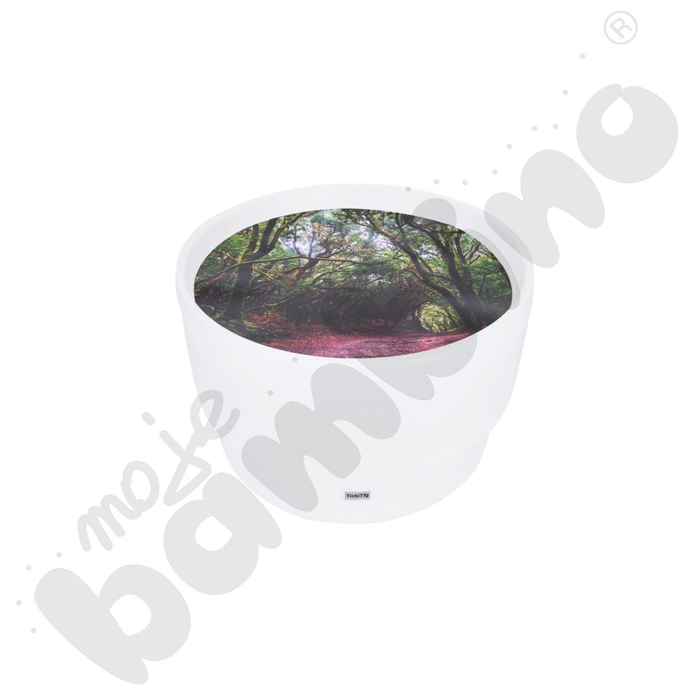 Plansza Odkrycia leśnego świata