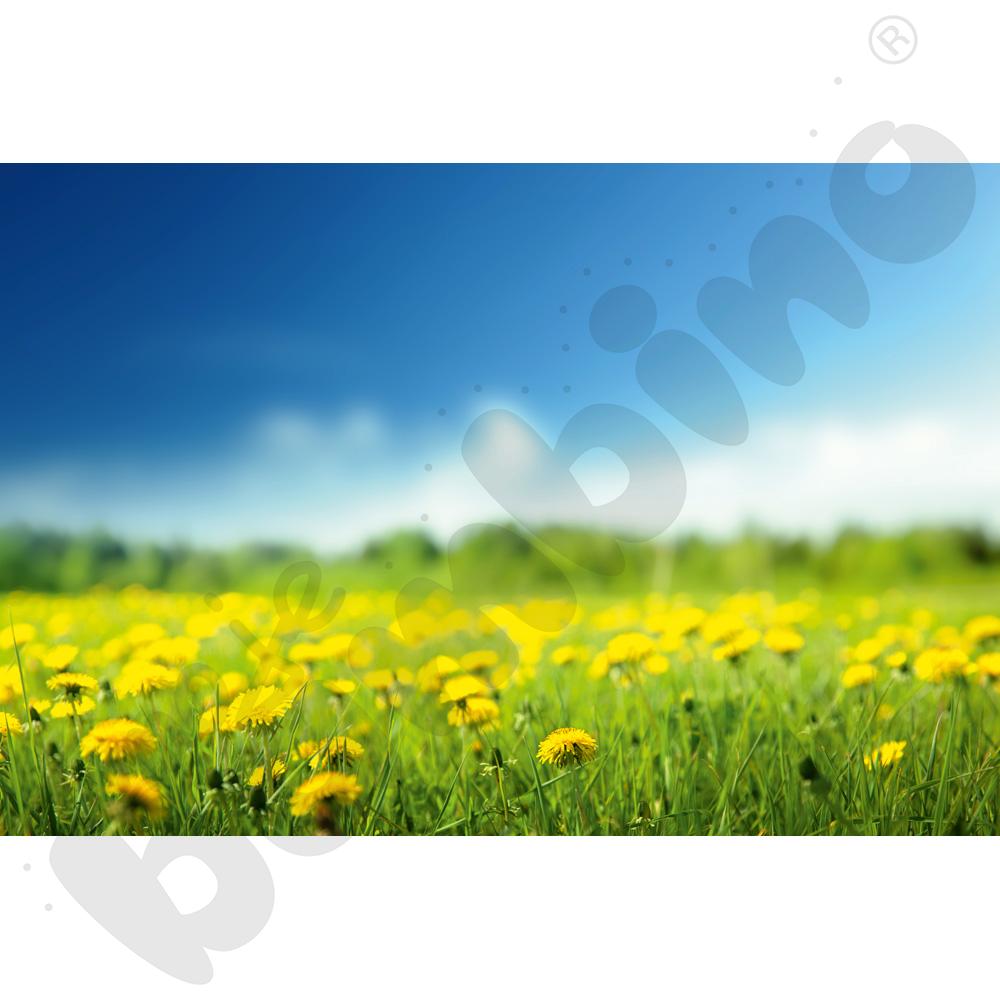 Polana - naklejka wielokrotnego użytku