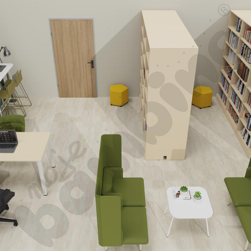 Biblioteka szkolna z modułem Agora