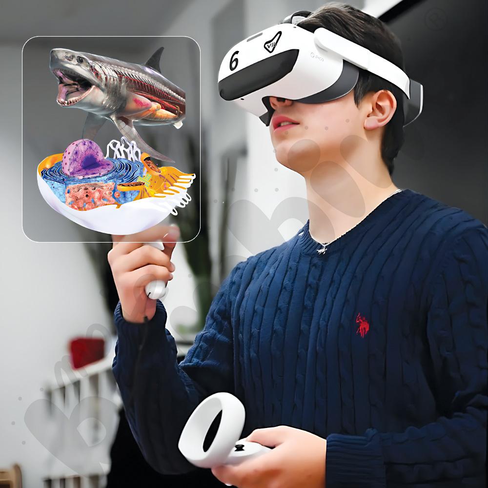 Zestaw: 4 x Gogle VR PICO NEO 3 Enterprise 256 GB z walizką ładującą