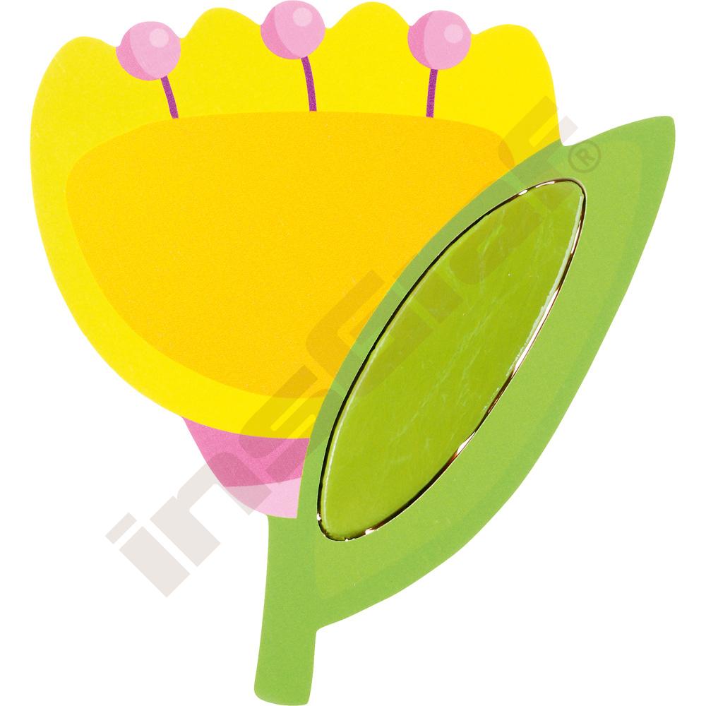 Tulipán 