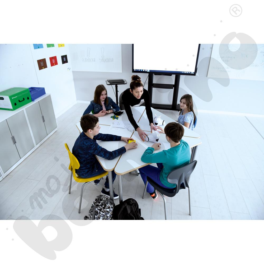 Cyfrowe zasoby - Photon Moduł Ekologia