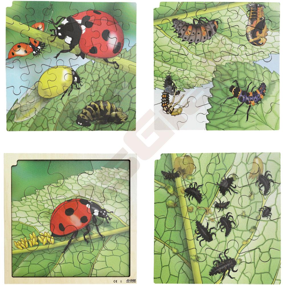 Puzzle - 4 vrstvy - životní cyklus berušky