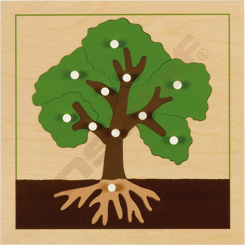 Botanické puzzle - strom 