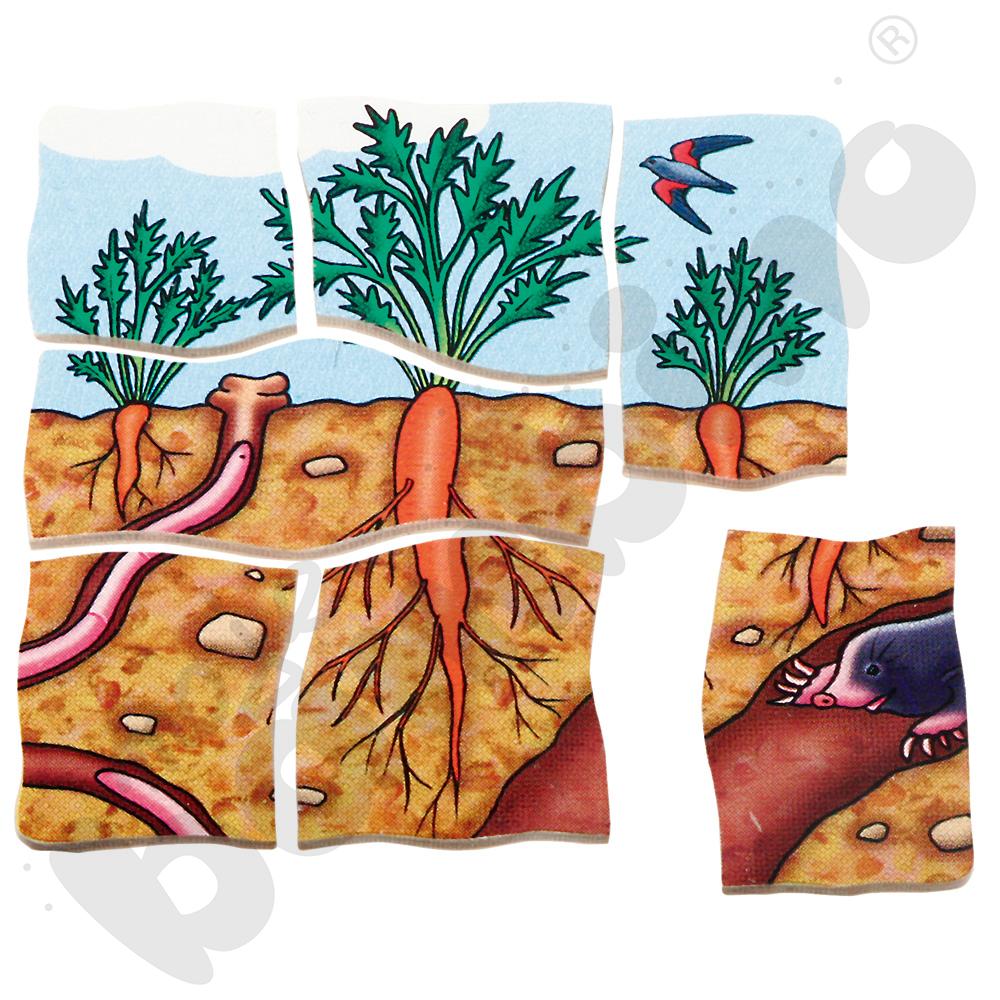 Edukacyjne puzzle warstwowe - marchew