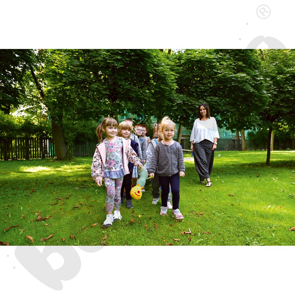 Gąsienica spacerowa 10 uchwytów