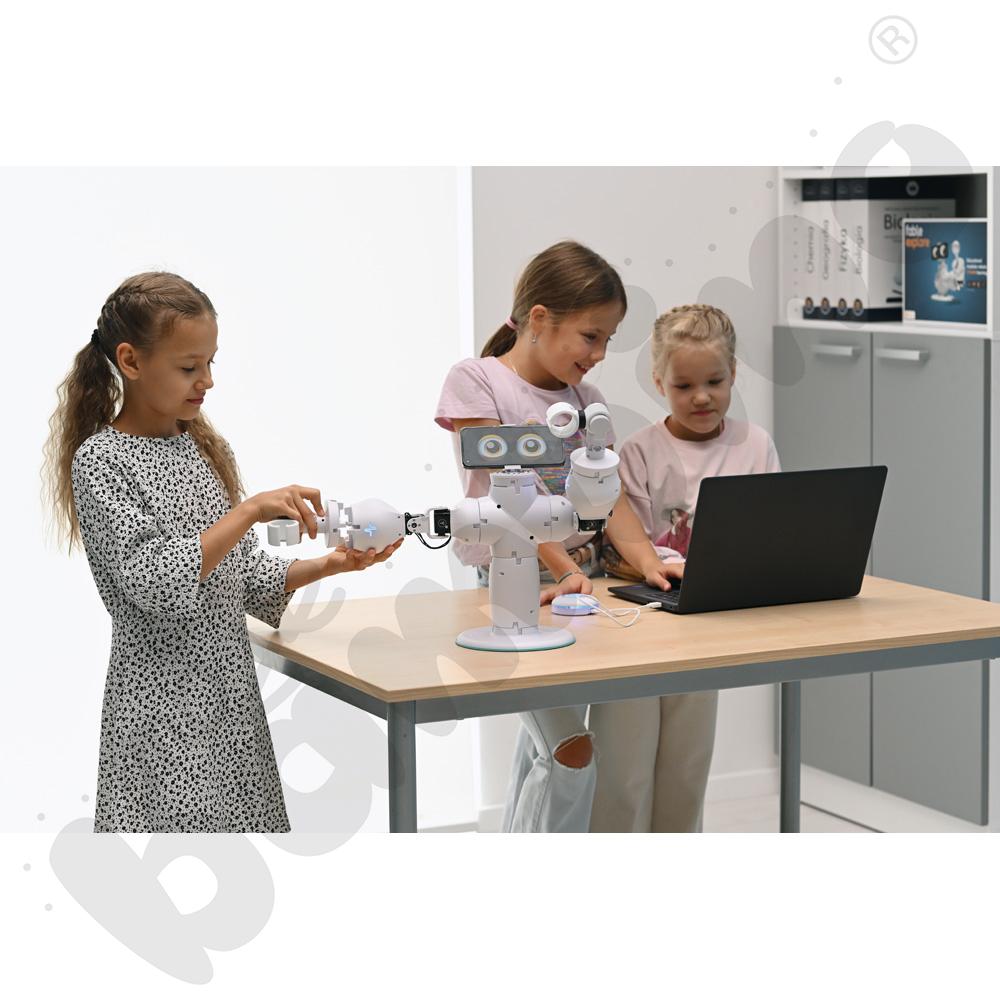 Fable Go - AI Interaktin Robot