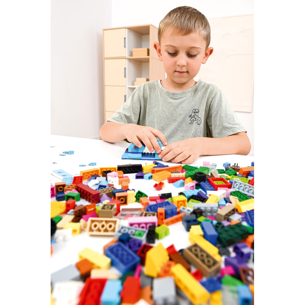 LEGO® Large Creative Brick Set