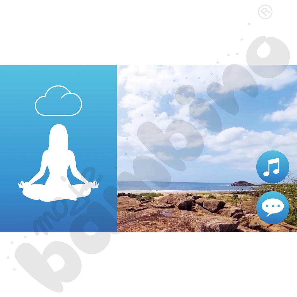 Gogle VR TierOne GO - PAKIET MULTI CONTROL