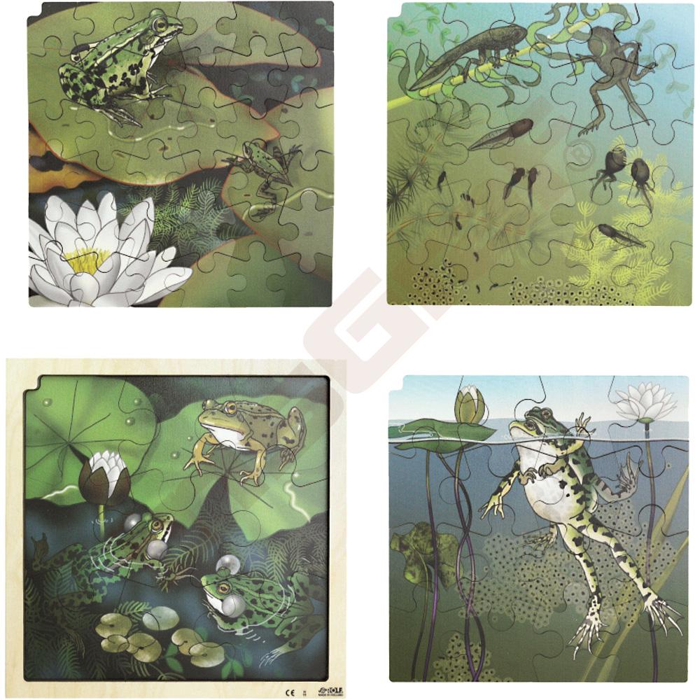 Puzzle - 4 vrstvy - životní cyklus žáby