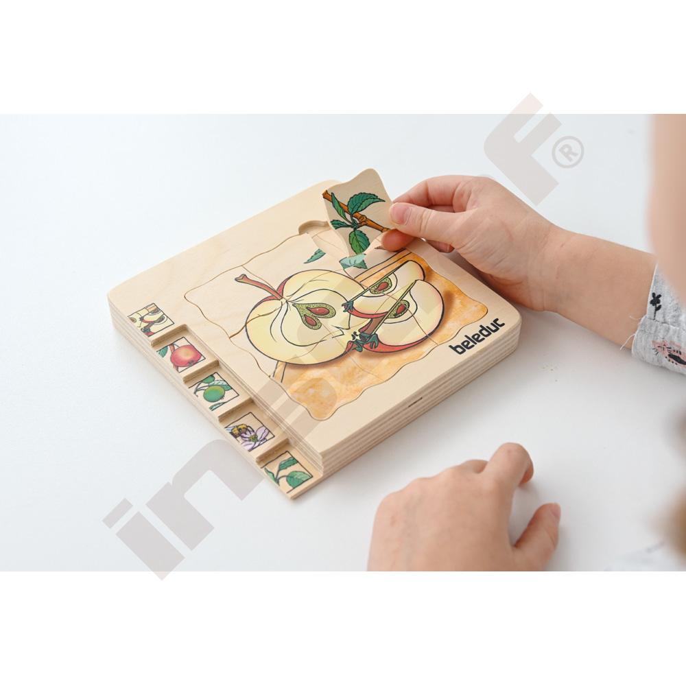 Edukační vícevrstvé puzzle - jablko