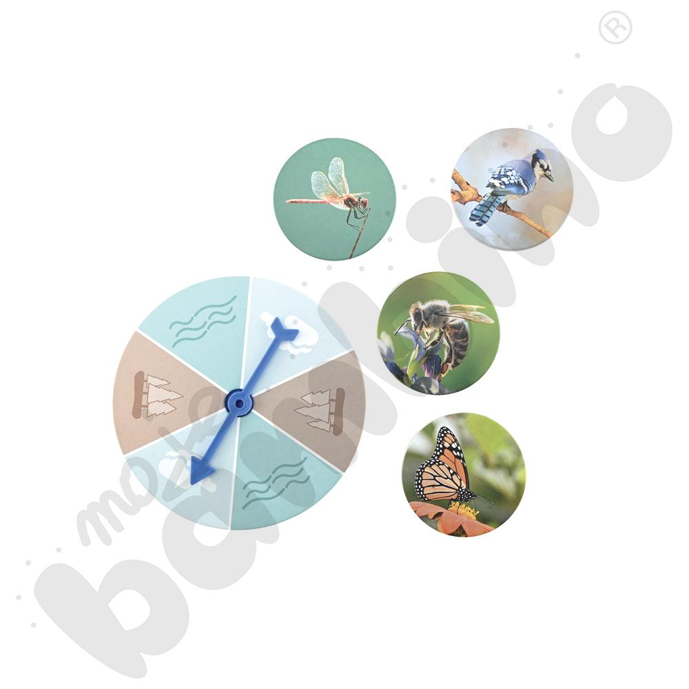 Odkrywamy świat zwierząt - gra